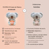 🐨 Koala Anti-Estrés | PAGO CONTRA ENTREGA💥